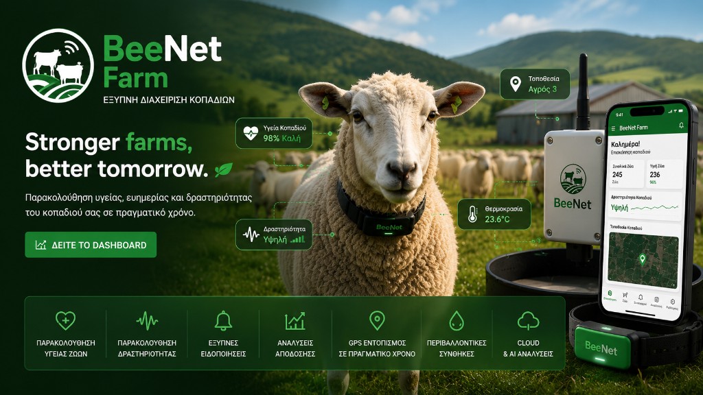 BeeNet Farm